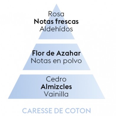 CARESSE DE COTTON piramide olfativa