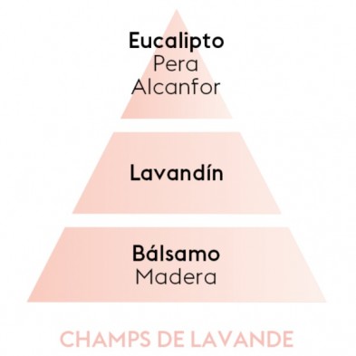 CHAMPS DE LAVANDE piramide olfativa
