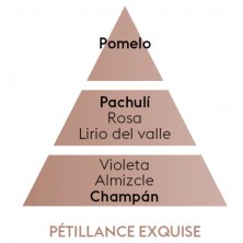 PETILLANCE EXQUISE piramide olfativa