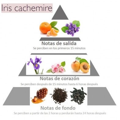 ingredientes olfativos fragancia iris cachemire