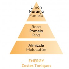 ENERGY piramide olfativa
