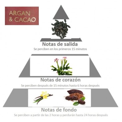 Piramide olfativa ARGAN, CACAO y VAINILLA