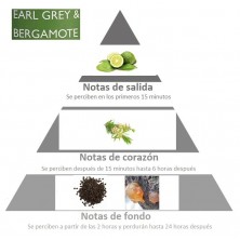 Piramida olfativa BERGAMOTA TE EARL GREY cítrico y floral