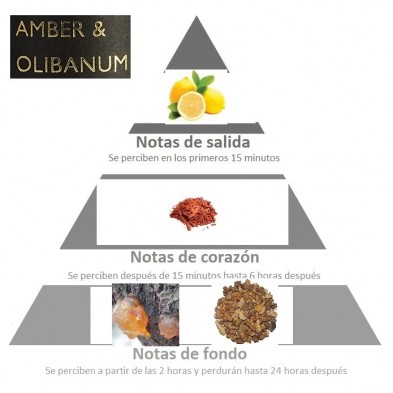 Piramide olfativa AMBAR OLIBANO de Cerabella