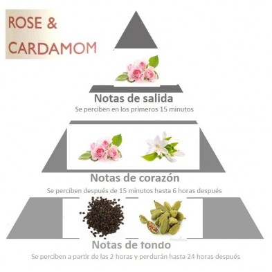 Piramide olfativa ROSA CARDAMOMO