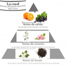 Piramide sensorial LYS ROSAL