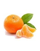 Esencias y aroma de mandarina en ambientador de hogar – Aromasclic